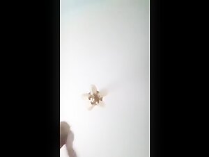 Découvrez une vidéo de bestialité choquante et excitante mettant en scène une femme et son chien.